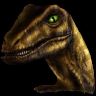 RR_DF_RaptorRed's Avatar