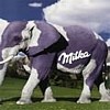 Milka Elephant