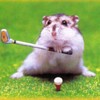 Golf Hamster